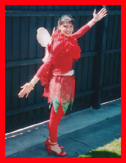 Jingles the Christmas Fairy
